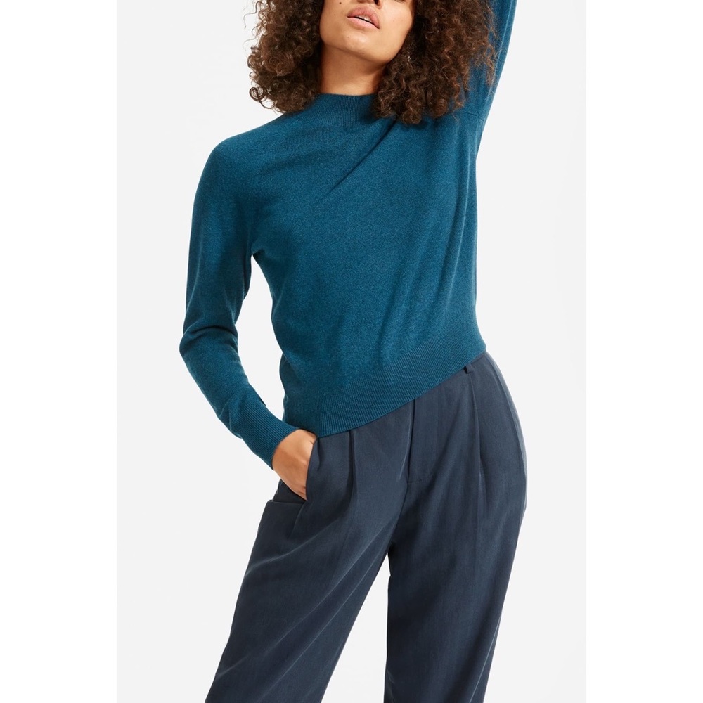 Everlane Cashmere Raglan Mockneck Sweater